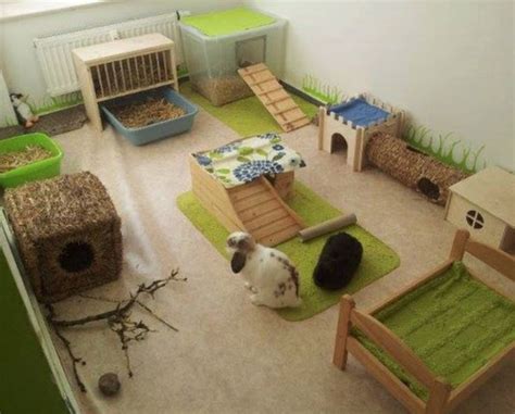 Rabbitat heaven...ideas to make your rabbit's living space AMAZING! - Small Pet Select | Your #1 ...