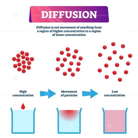 Diffusion vector illustration - VectorMine