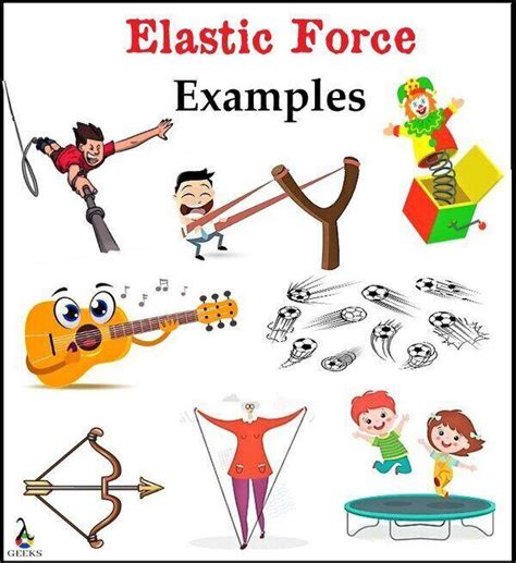 11 List of Elastic Force Examples and Critical FAQs