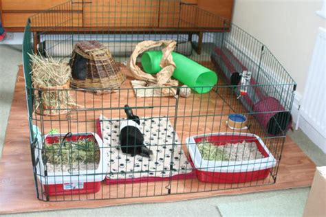 How to design an INSPIRATIONAL rabbit hutch – Invoke Delight and Inspire