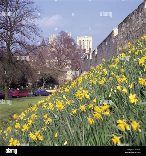 York City Walls Stock Photo - Alamy