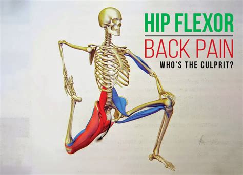 Hip Flexor Pain Diagram