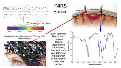 Functional Neuroimaging Techniques — Institute of Neuro Innovation