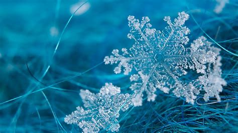 🔥 [76+] Snowflake Desktop Wallpapers | WallpaperSafari