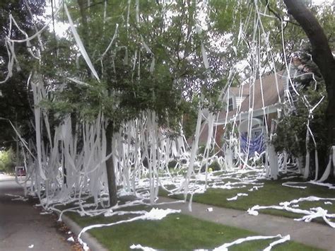 Huge Toilet Paper prank on a home in Pleasant Ridge (11 pics) - Izismile.com