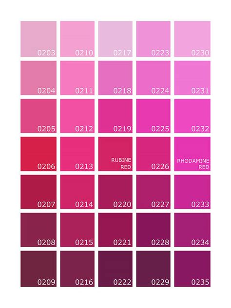 Pantone Hot Pink Printable Pink Pantone Poster Home Office Etsy | The Best Porn Website