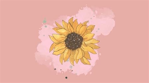 [100+] Aesthetic Sunflower Backgrounds | Wallpapers.com