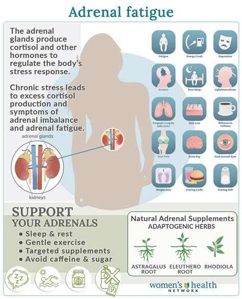 Adrenal Fatigue: Symptoms, Causes and Treatments | Women’s Health Network