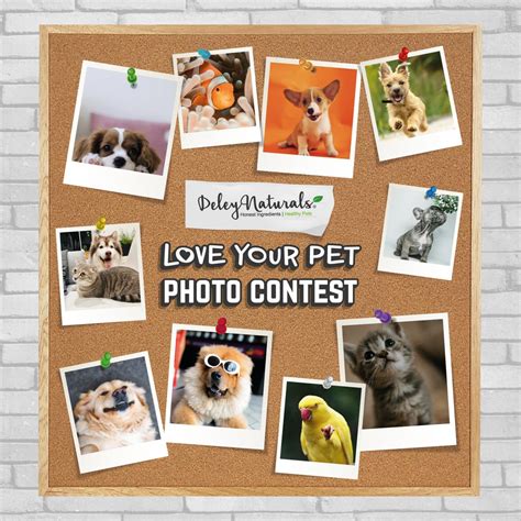 LOVE YOUR PET PHOTO CONTEST