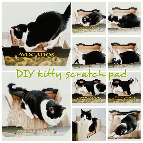 DIY Cardboard Cat Scratch Pad Upcycled Produce Box : 10 Steps (with Pictures) - Instructables