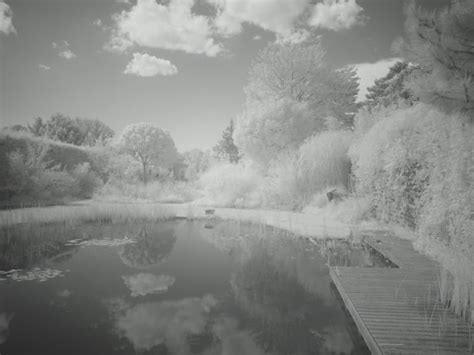 An In-Depth Infrared Filter Comparison