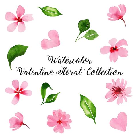 Premium Vector | Watercolor valentine floral collection