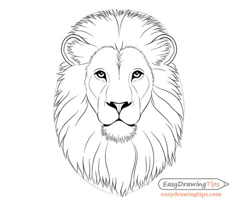 How To Draw A Lion Head Coloring Page Trace Drawing | The Best Porn Website