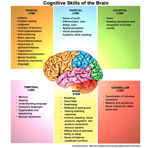 Brain and Behavior Psychology