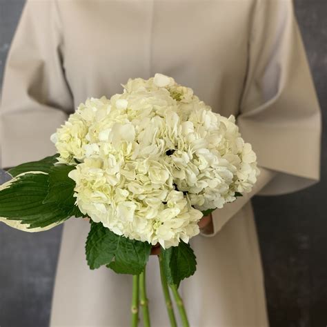 Hydrangea Bouquet | Red Square Flowers