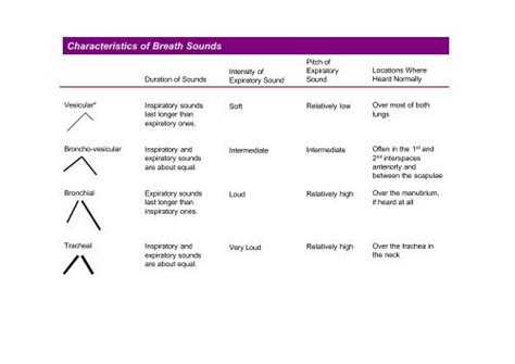 Characteristics of Breath Sounds