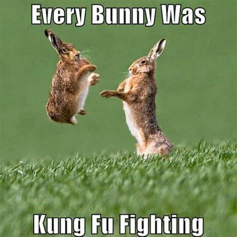 26 Bunny Memes That Are Way Too Cute For Your Screen