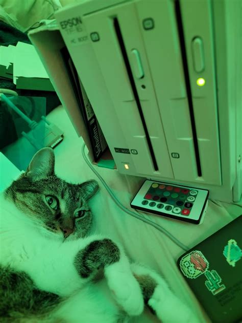 Vintage computer repair gorl : r/Catswithjobs