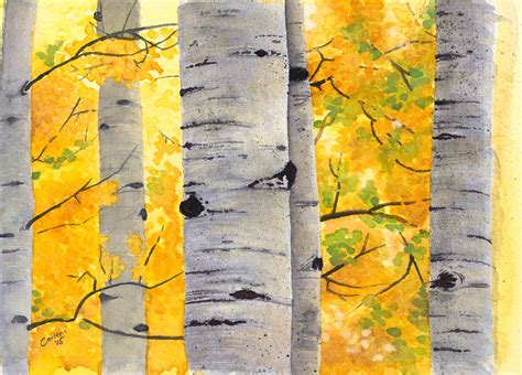 Aspen Trees, Original Watercolor Painting or Giclee Print of Watercolor Painting - Etsy