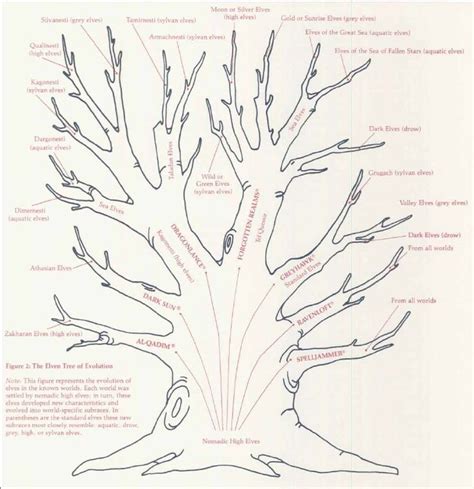 5E Four New Elf Subraces in Unearthed Arcana - Page 5 | Arcanum, Elf, Home decor decals