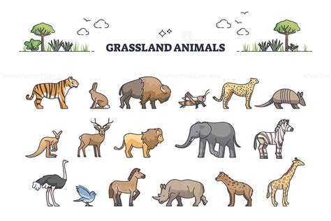 Grassland Animals