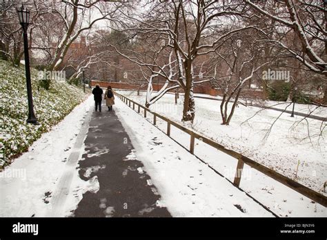 Winter Brooklyn Botanic Garden Stock Photo - Alamy