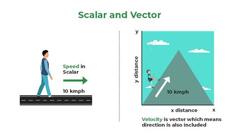 Vector Physics