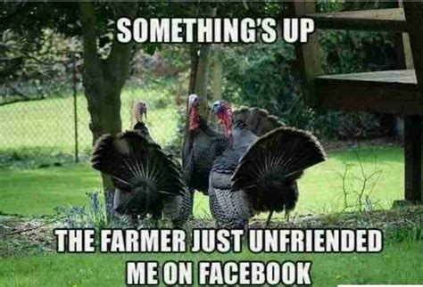 40+ Funny Happy Thanksgiving Day Memes 2020 - Guide For Moms