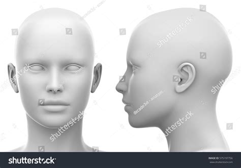 5,133 Blank Medical Image Head Images, Stock Photos, 3D objects, & Vectors | Shutterstock