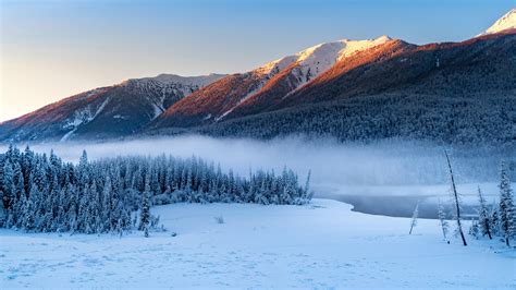 Forest Snowy Winter Mountains Wallpaper, HD Nature 4K Wallpapers ...