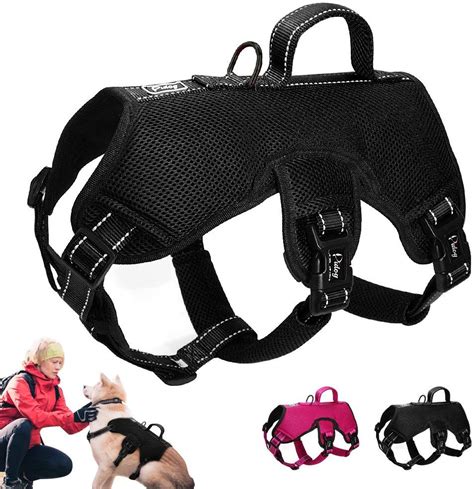 Best Escape Proof Dog Harness - Safe Harnesses for Dogs