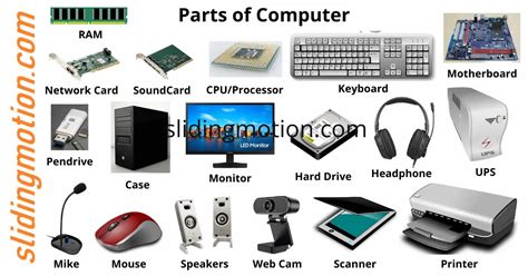 Computer Parts And Functions About Hardware