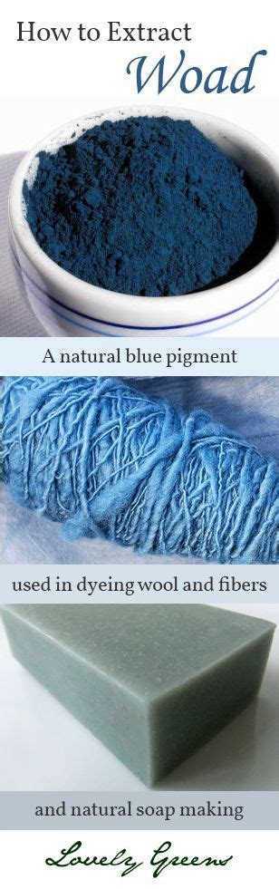 Extracting natural blue pigment from the leaves of the Woad plant. The pigment has traditionally ...