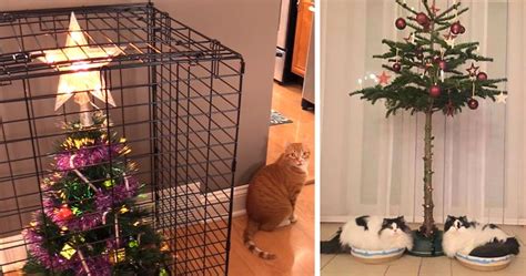 40 Genius People Who Found A Way To Protect Their Christmas Trees From Asshole Cats And Dogs ...