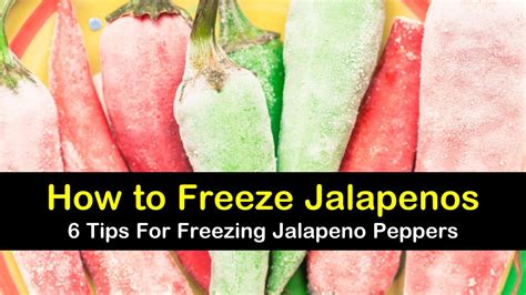 6 Amazing Ways to Freeze Jalapeno Peppers