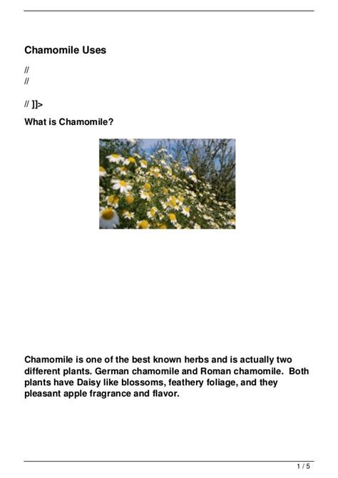 Chamomile Uses