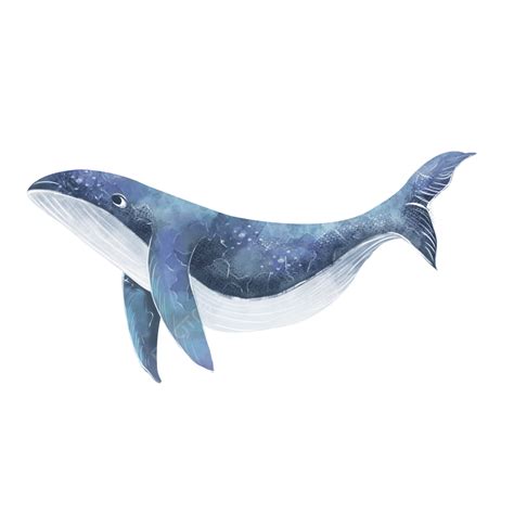 Ballena Azul Sueño Cielo Estrellado PNG , Azul, Ballena, Cielo Estrellado PNG y PSD para ...