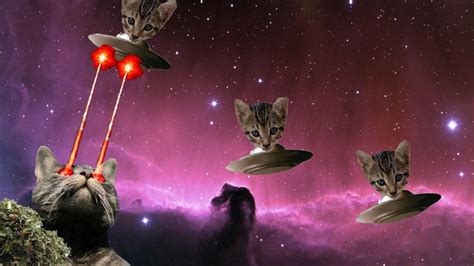 Cats In Space Laser