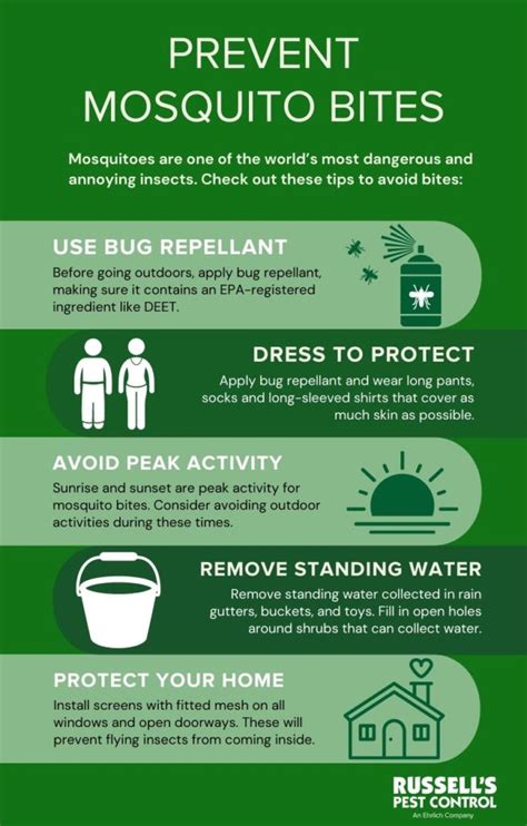 Mosquito Bite Prevention and Treatment | Prevent Mosquito Bites