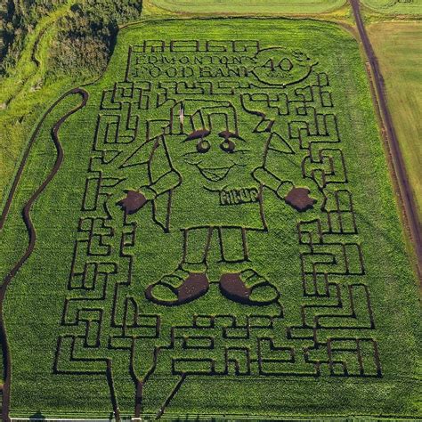 Maze | Edmonton's original corn maze