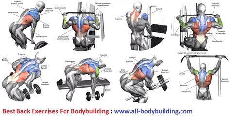 Back Exercises For Bodybuilding | Good back workouts, Gym back workout, Back exercises