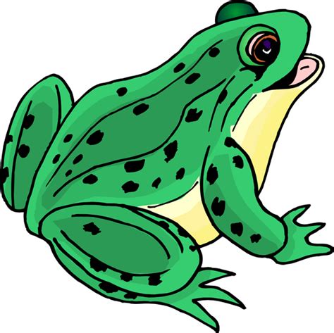 Free frog clipart clip art pictures graphics illustrations – Clipartix