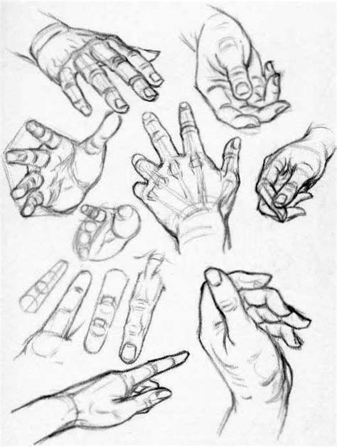 Hand Drawing Reference Guide - bmp-minkus