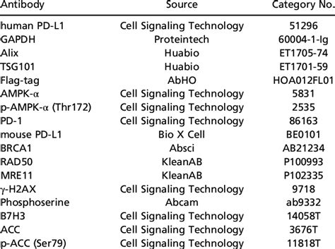 Antibodies used for Western blot | Download Scientific Diagram