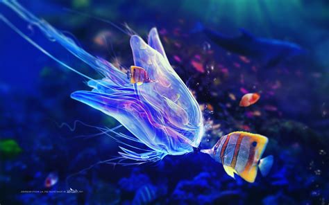 Adam Spizak, Digital Art, Fish, Underwater Wallpapers HD / Desktop and Mobile Backgrounds