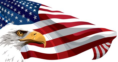 Flag of the United States Clip art - American Flag and Eagle Transparent PNG Clip Art Image png ...