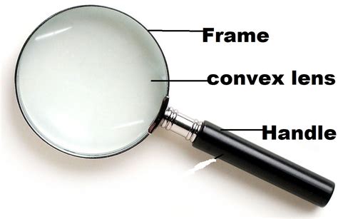 The Magnifying lens | Introduction to classification