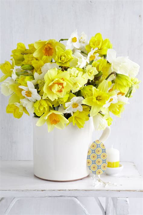 Daffodil Arrangement Ideas