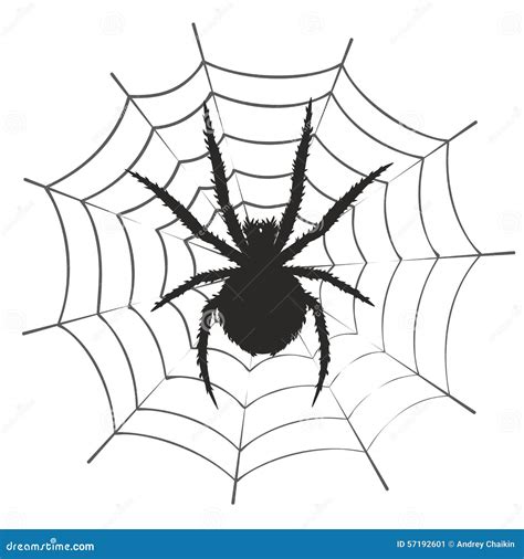 Web With A Spider. Vector Illustration | CartoonDealer.com #57192601