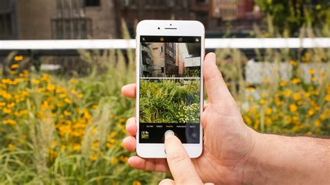 Apple iPhone 8 Plus has the best smartphone camera, DxOMark says - CNET